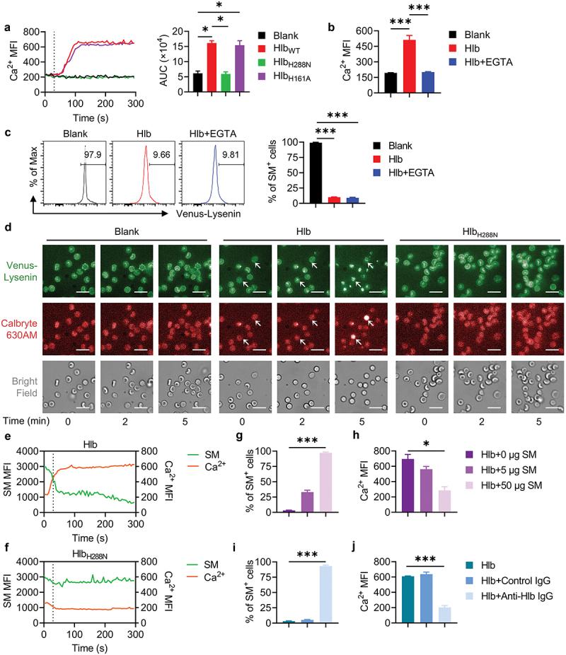 https://cdn.ncbi.nlm.nih.gov/pmc/blobs/0eb5/11988224/93c9d153556a/KVIR_A_2490208_F0002_OC.jpg