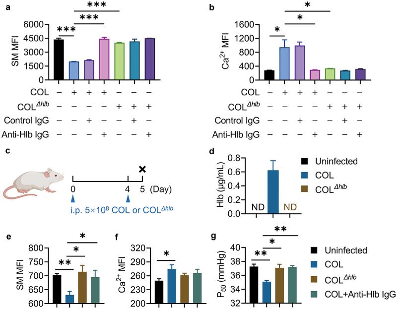 https://cdn.ncbi.nlm.nih.gov/pmc/blobs/0eb5/11988224/b28cd3b7495f/KVIR_A_2490208_F0006_OC.jpg