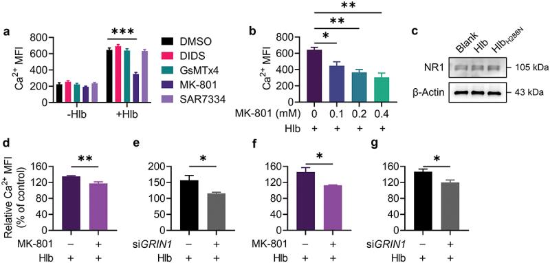 https://cdn.ncbi.nlm.nih.gov/pmc/blobs/0eb5/11988224/de69c98b64a0/KVIR_A_2490208_F0003_OC.jpg