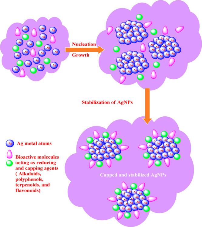 https://cdn.ncbi.nlm.nih.gov/pmc/blobs/0eb5/9366950/579e81b7ab13/ao2c01400_0003.jpg