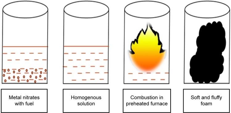 https://cdn.ncbi.nlm.nih.gov/pmc/blobs/0eb9/4599615/43a4c334dff8/ijn-10-189Fig1.jpg