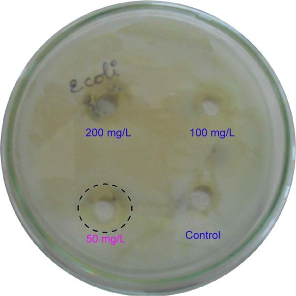 https://cdn.ncbi.nlm.nih.gov/pmc/blobs/0eb9/4599615/690fedffb9c8/ijn-10-189Fig10.jpg