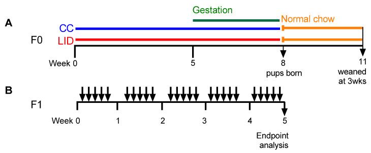 https://cdn.ncbi.nlm.nih.gov/pmc/blobs/0eb9/8708709/6e41085ae64e/nutrients-13-04461-g001.jpg