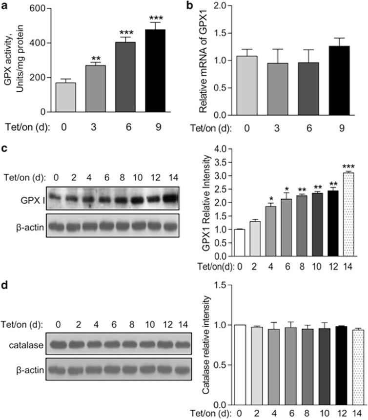 https://cdn.ncbi.nlm.nih.gov/pmc/blobs/0eba/3542592/0e9b65ce5c41/cddis2012156f3.jpg