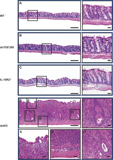 https://cdn.ncbi.nlm.nih.gov/pmc/blobs/0ebd/2270287/683457344566/pmed.0050041.g002.jpg