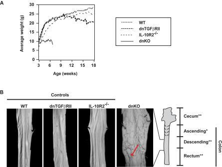 https://cdn.ncbi.nlm.nih.gov/pmc/blobs/0ebd/2270287/af439a5e9a35/pmed.0050041.g001.jpg