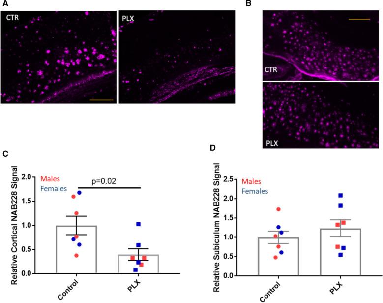 https://cdn.ncbi.nlm.nih.gov/pmc/blobs/0ebf/8428059/62ba7353dedc/40478_2021_1251_Fig3_HTML.jpg