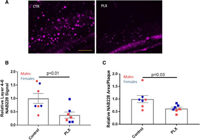 https://cdn.ncbi.nlm.nih.gov/pmc/blobs/0ebf/8428059/931ab8324aea/40478_2021_1251_Fig4_HTML.jpg