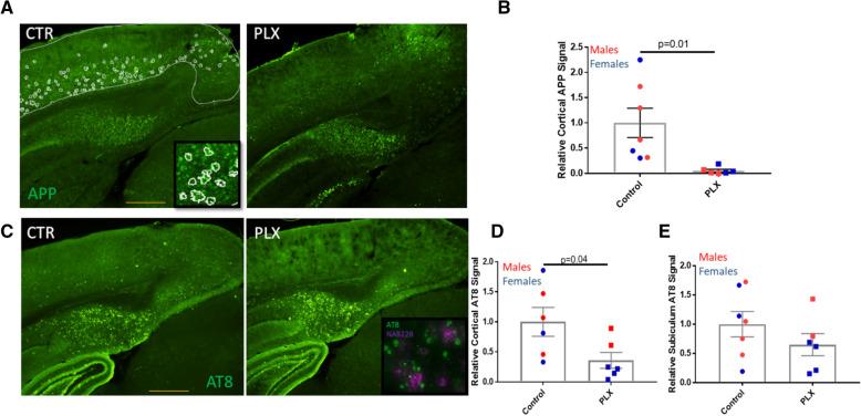 https://cdn.ncbi.nlm.nih.gov/pmc/blobs/0ebf/8428059/934ae642952f/40478_2021_1251_Fig5_HTML.jpg
