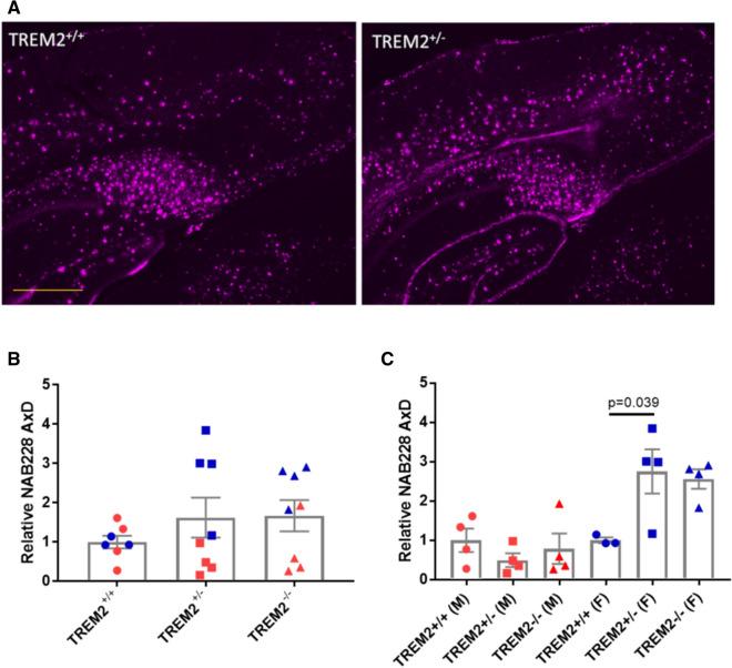 https://cdn.ncbi.nlm.nih.gov/pmc/blobs/0ebf/8428059/9edb1106c640/40478_2021_1251_Fig7_HTML.jpg
