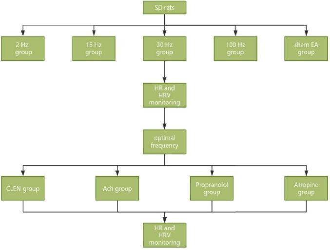 https://cdn.ncbi.nlm.nih.gov/pmc/blobs/0ec1/11153749/8bf0ba8de0b6/fnins-18-1367266-g002.jpg