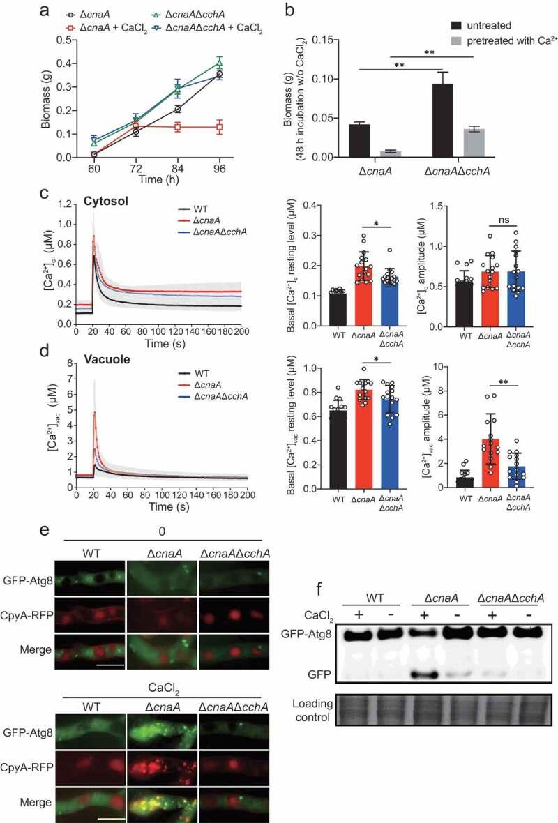 https://cdn.ncbi.nlm.nih.gov/pmc/blobs/0ec1/8043181/9e7b0afddbf9/KVIR_A_1909954_F0004_OC.jpg