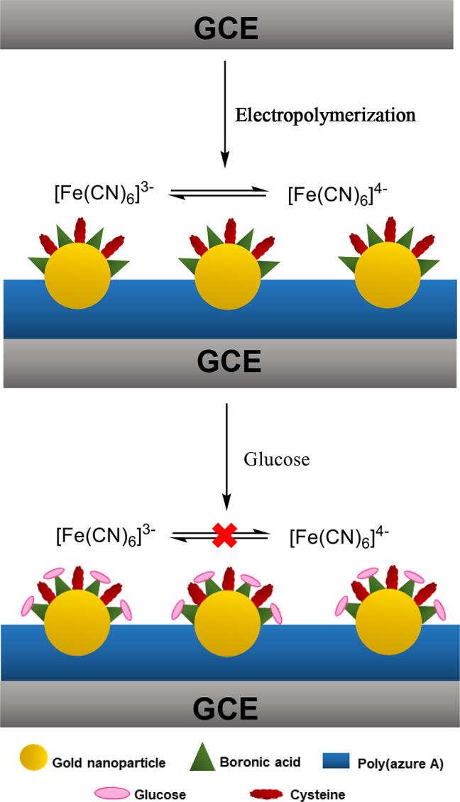 https://cdn.ncbi.nlm.nih.gov/pmc/blobs/0ec3/8155662/c3a653e5c833/se1c00462_0031.jpg