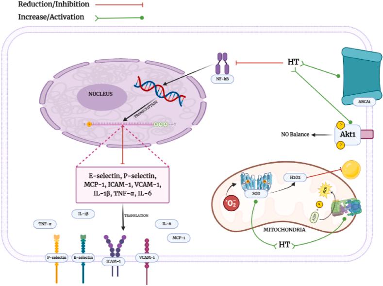 https://cdn.ncbi.nlm.nih.gov/pmc/blobs/0ec3/9871206/d0ff164d35e4/gr2.jpg