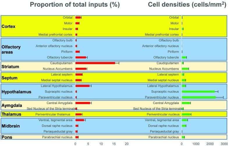 https://cdn.ncbi.nlm.nih.gov/pmc/blobs/0ec4/5056182/e1b96599e1d1/fnana-10-00098-g003.jpg