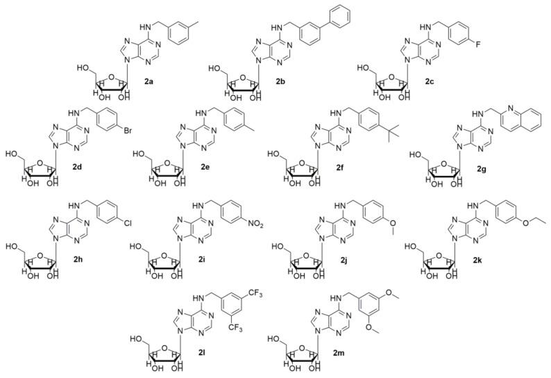 https://cdn.ncbi.nlm.nih.gov/pmc/blobs/0ec6/8658949/de7de8ba1286/molecules-26-07146-g002.jpg