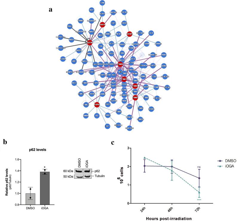 https://cdn.ncbi.nlm.nih.gov/pmc/blobs/0ec7/8074421/e428365e6ec0/12014_2021_9317_Fig6_HTML.jpg