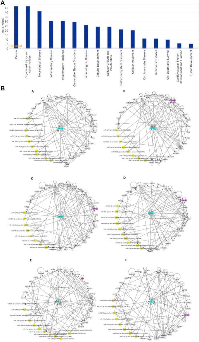 https://cdn.ncbi.nlm.nih.gov/pmc/blobs/0ec9/10823008/aaf970cd77c7/fcell-11-1260019-g004.jpg