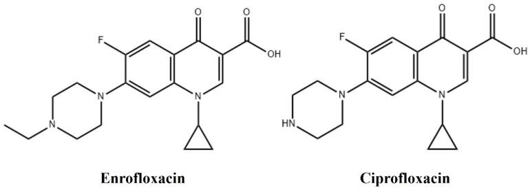 https://cdn.ncbi.nlm.nih.gov/pmc/blobs/0ec9/11047589/4908b2168044/antibiotics-13-00355-g001.jpg