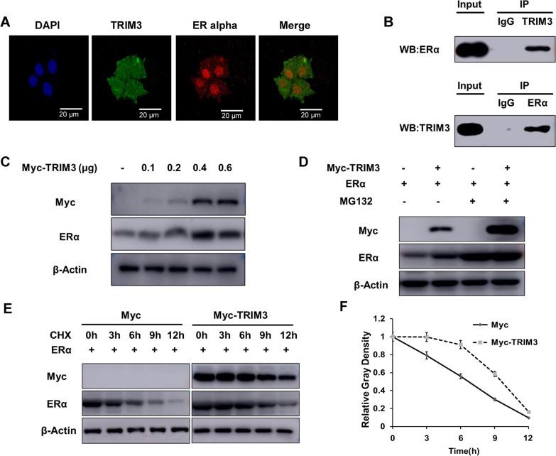 https://cdn.ncbi.nlm.nih.gov/pmc/blobs/0ec9/8991925/22aa989edbe6/12964_2022_861_Fig4_HTML.jpg