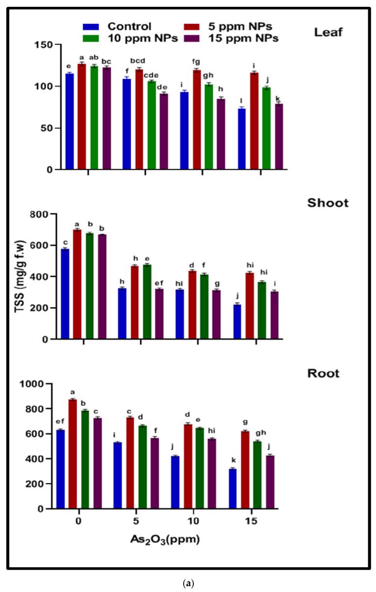 https://cdn.ncbi.nlm.nih.gov/pmc/blobs/0ec9/9606974/690f521b7bb2/toxics-10-00618-g002a.jpg