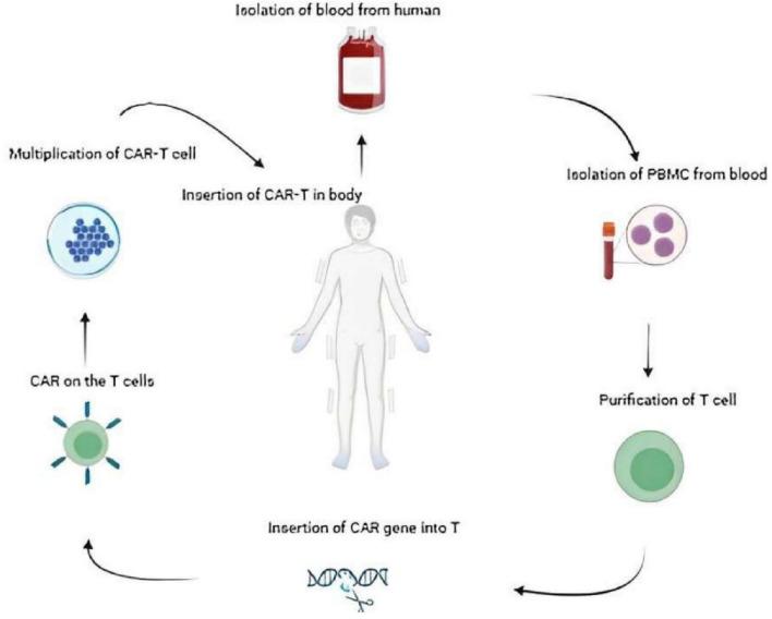https://cdn.ncbi.nlm.nih.gov/pmc/blobs/0eca/11303469/2b13db9d94ab/10238_2024_1442_Fig2_HTML.jpg