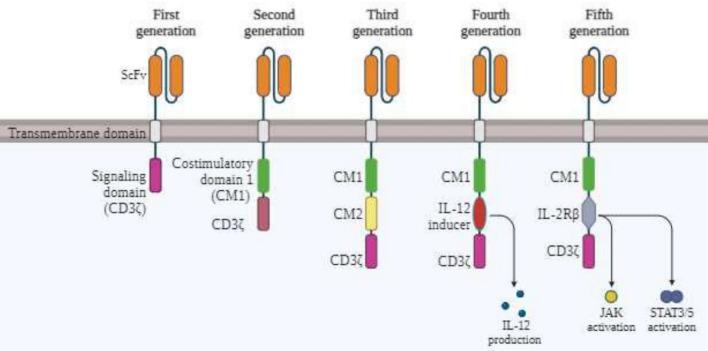https://cdn.ncbi.nlm.nih.gov/pmc/blobs/0eca/11303469/92a88f816194/10238_2024_1442_Fig1_HTML.jpg