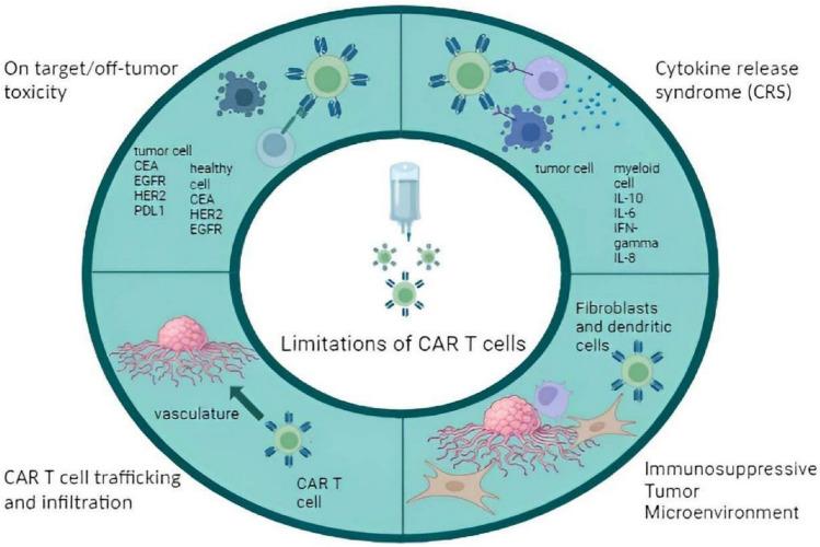 https://cdn.ncbi.nlm.nih.gov/pmc/blobs/0eca/11303469/df49ca9e48e1/10238_2024_1442_Fig4_HTML.jpg
