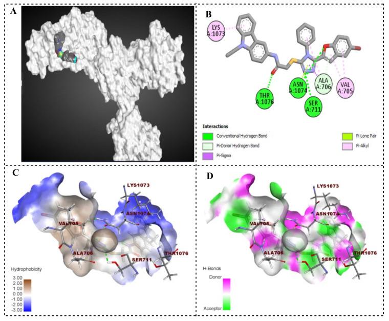 https://cdn.ncbi.nlm.nih.gov/pmc/blobs/0eca/11641759/579ffdb69777/ijms-25-12708-g014.jpg