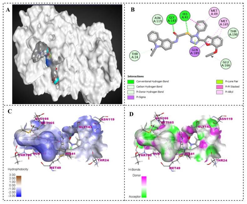 https://cdn.ncbi.nlm.nih.gov/pmc/blobs/0eca/11641759/a7b03b2f7835/ijms-25-12708-g006.jpg