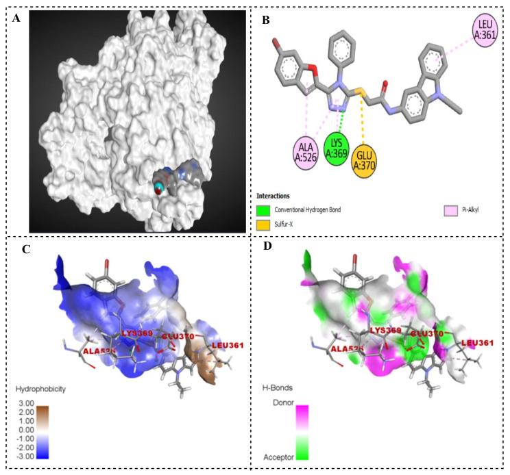 https://cdn.ncbi.nlm.nih.gov/pmc/blobs/0eca/11641759/b3ff365544d1/ijms-25-12708-g022.jpg