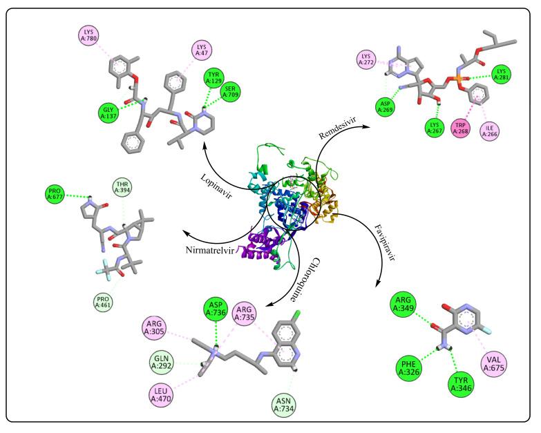 https://cdn.ncbi.nlm.nih.gov/pmc/blobs/0eca/11641759/b862fa18ed68/ijms-25-12708-g023.jpg