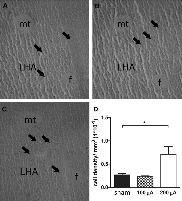 https://cdn.ncbi.nlm.nih.gov/pmc/blobs/0eca/3857552/152d93bce804/fnins-07-00226-g0003.jpg