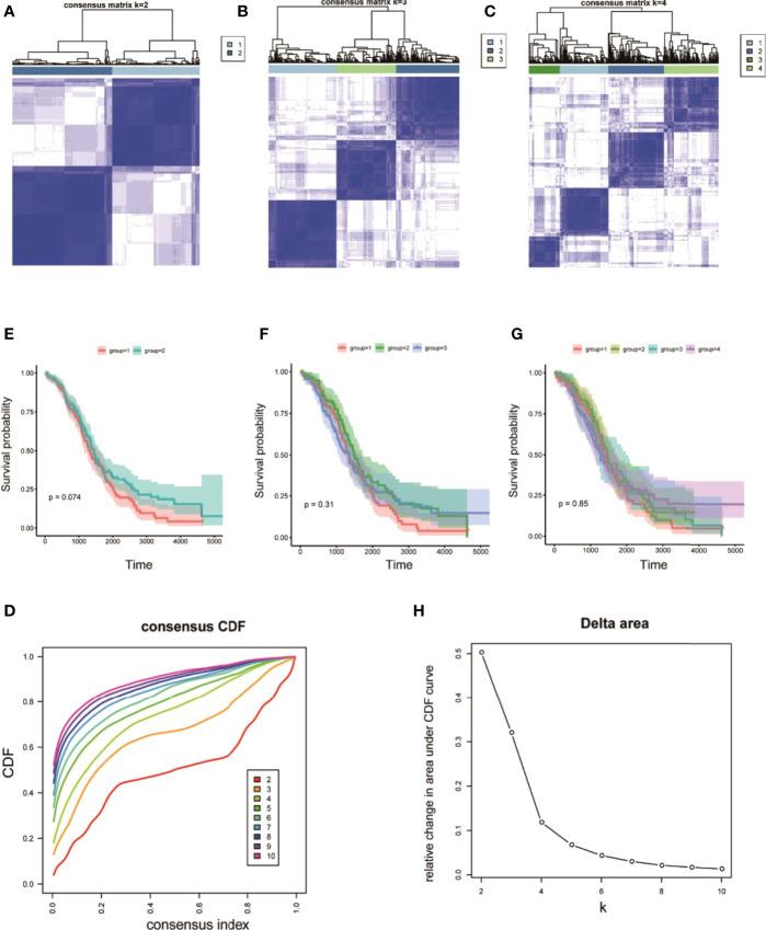 https://cdn.ncbi.nlm.nih.gov/pmc/blobs/0eca/9218568/3c43f1ead827/fonc-12-888699-g005.jpg