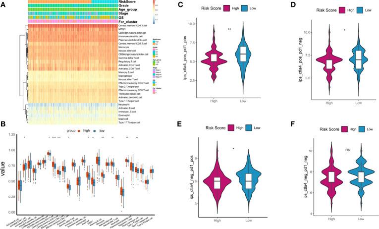 https://cdn.ncbi.nlm.nih.gov/pmc/blobs/0eca/9218568/ab8caed09b07/fonc-12-888699-g011.jpg