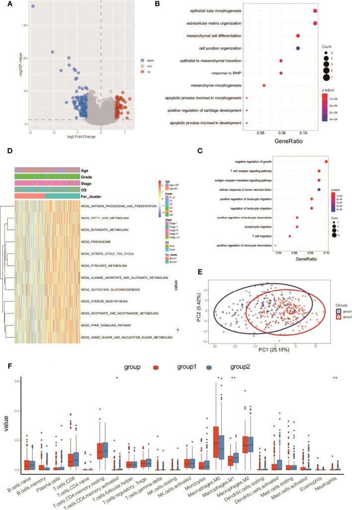 https://cdn.ncbi.nlm.nih.gov/pmc/blobs/0eca/9218568/af77e0c2fef4/fonc-12-888699-g006.jpg