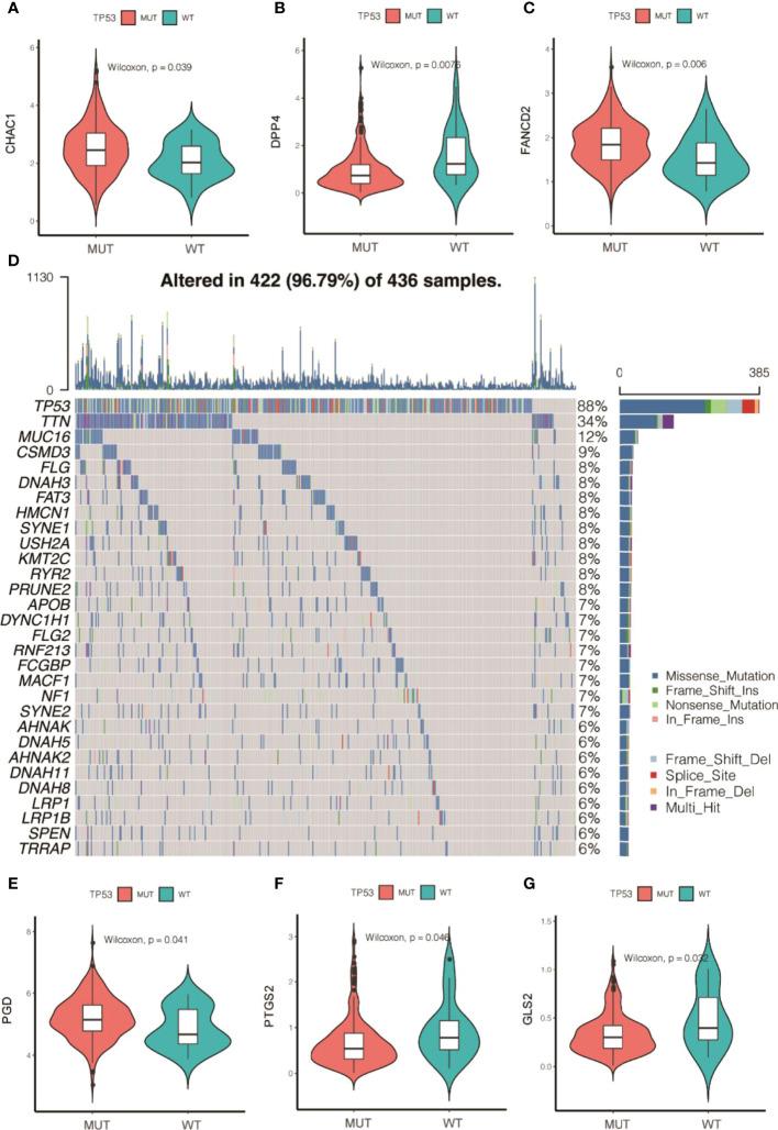 https://cdn.ncbi.nlm.nih.gov/pmc/blobs/0eca/9218568/d980ab4a55eb/fonc-12-888699-g003.jpg
