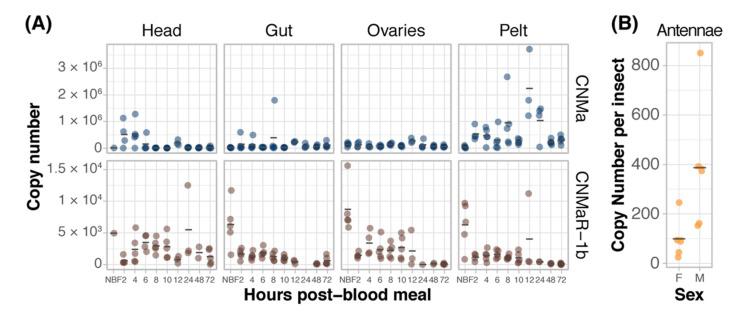https://cdn.ncbi.nlm.nih.gov/pmc/blobs/0ecb/8955854/59106ddd0284/insects-13-00230-g003.jpg