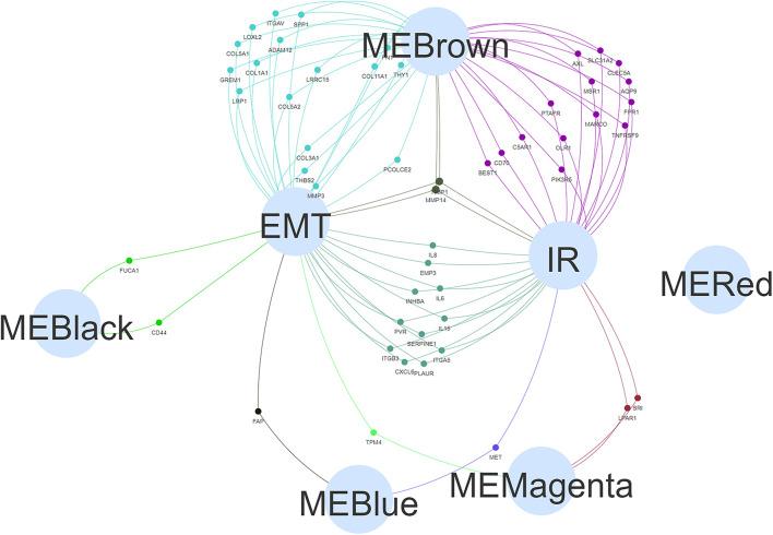 https://cdn.ncbi.nlm.nih.gov/pmc/blobs/0ecd/8502925/293147884f8f/fcell-09-739358-g003.jpg