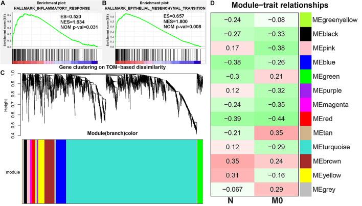 https://cdn.ncbi.nlm.nih.gov/pmc/blobs/0ecd/8502925/4b6a88023be1/fcell-09-739358-g002.jpg