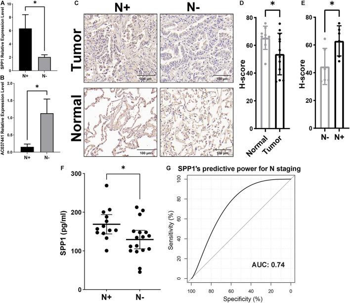 https://cdn.ncbi.nlm.nih.gov/pmc/blobs/0ecd/8502925/6f21b6cfceb9/fcell-09-739358-g008.jpg