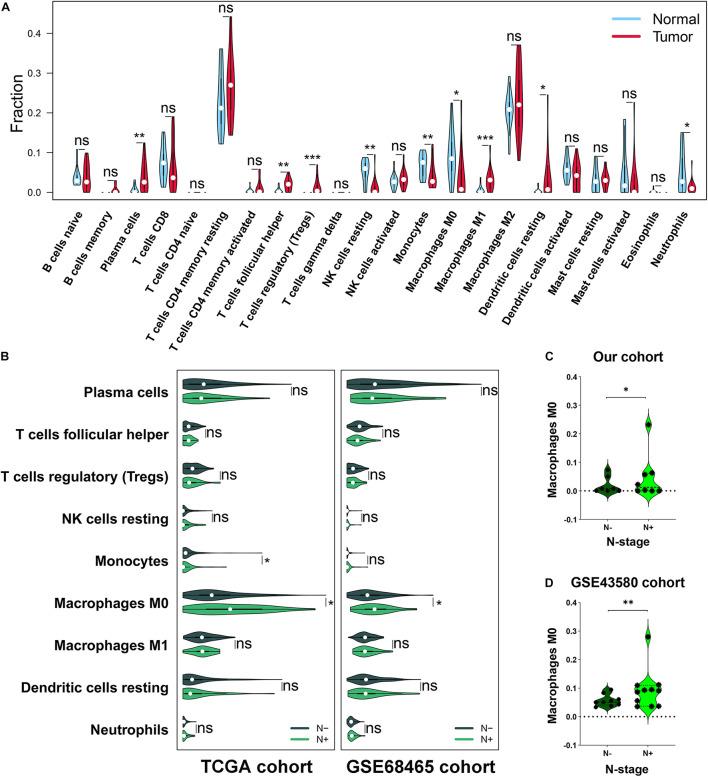 https://cdn.ncbi.nlm.nih.gov/pmc/blobs/0ecd/8502925/8963c0488bcb/fcell-09-739358-g001.jpg