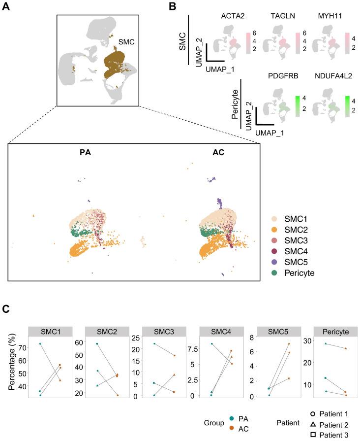 https://cdn.ncbi.nlm.nih.gov/pmc/blobs/0ecf/10879858/77bbb515a909/thnov14p1450g002.jpg