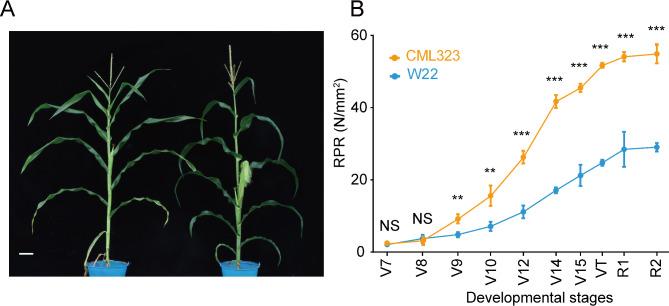 https://cdn.ncbi.nlm.nih.gov/pmc/blobs/0ecf/11871777/72a757c2dd57/12870_2025_6276_Fig1_HTML.jpg