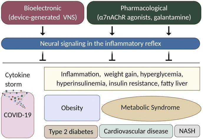 https://cdn.ncbi.nlm.nih.gov/pmc/blobs/0ecf/8027699/4ee060e59210/gr3_lrg.jpg