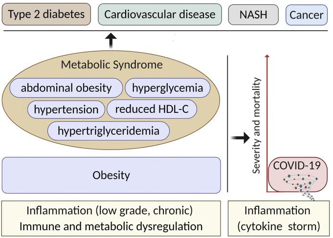https://cdn.ncbi.nlm.nih.gov/pmc/blobs/0ecf/8027699/d5971355edd2/gr1_lrg.jpg