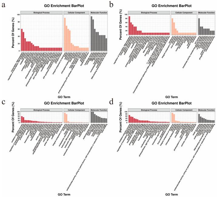 https://cdn.ncbi.nlm.nih.gov/pmc/blobs/0ed1/10341588/807c9b628ba9/ijms-24-10759-g004.jpg