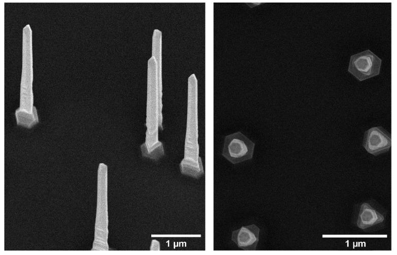 https://cdn.ncbi.nlm.nih.gov/pmc/blobs/0ed6/7829981/e00ffac1c6c1/nanomaterials-11-00227-g001.jpg