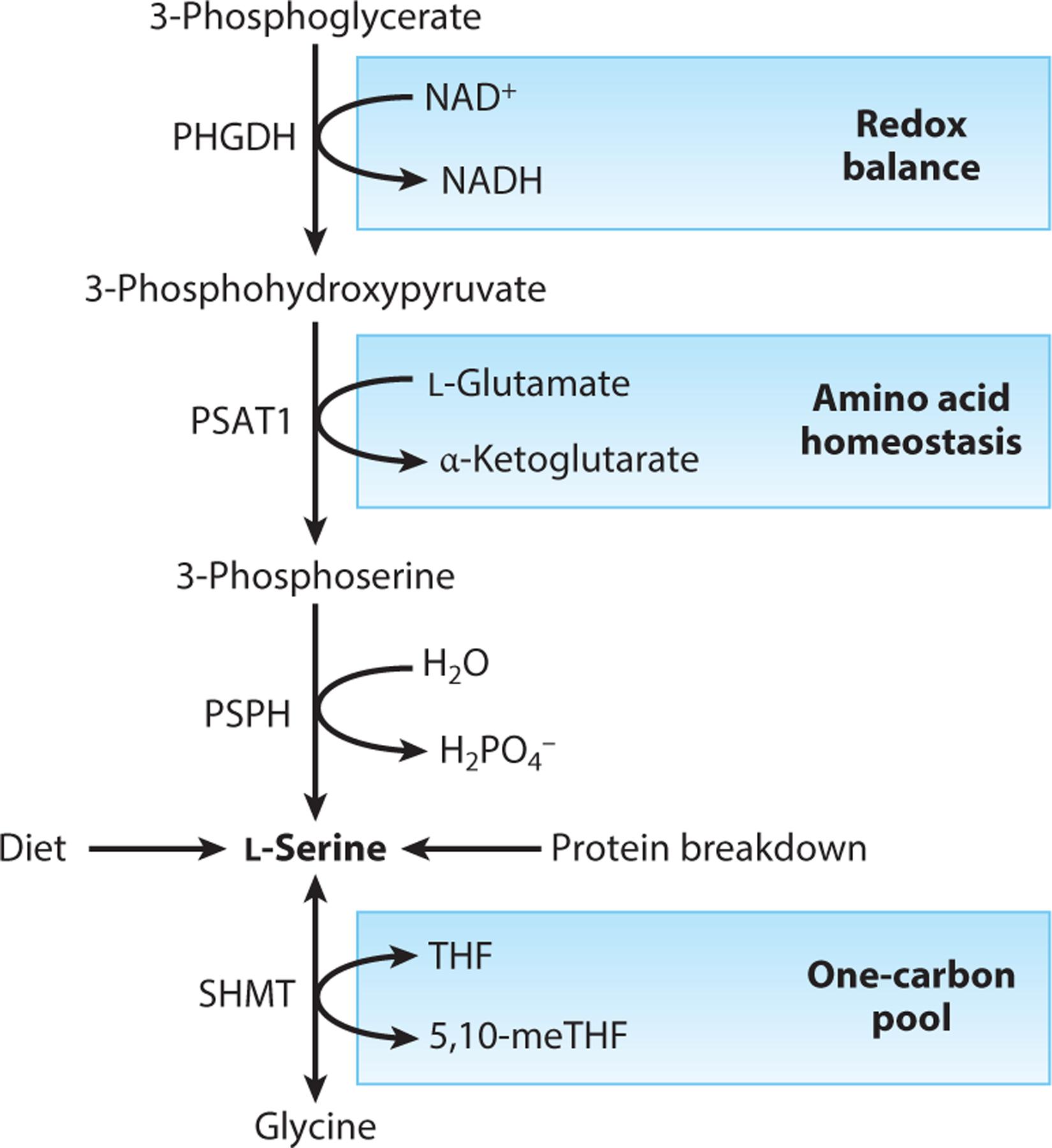 https://cdn.ncbi.nlm.nih.gov/pmc/blobs/0ed7/10783795/4638cf222574/nihms-1948123-f0002.jpg