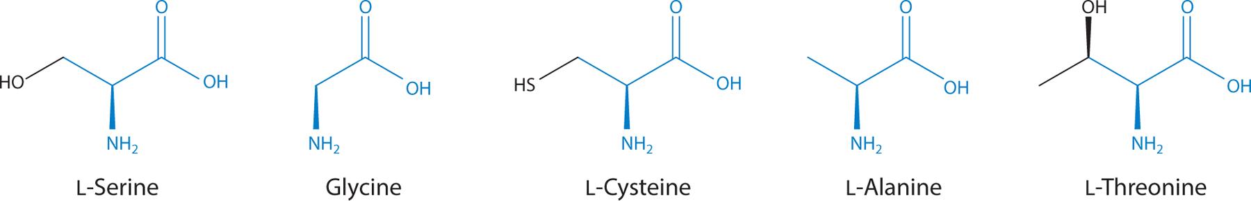 https://cdn.ncbi.nlm.nih.gov/pmc/blobs/0ed7/10783795/cbc0d3d69c58/nihms-1948123-f0001.jpg